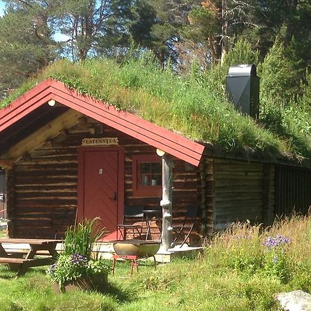 Batsto Camping Elga Exteriér fotografie