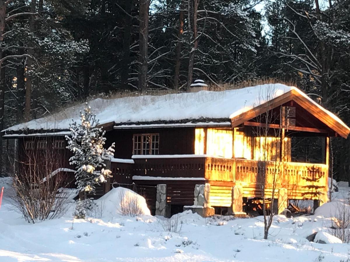 Batsto Camping Elga Exteriér fotografie