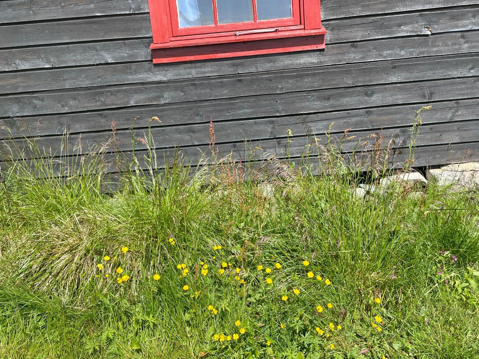 Batsto Camping Elga Exteriér fotografie