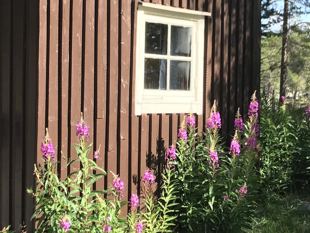 Batsto Camping Elga Exteriér fotografie