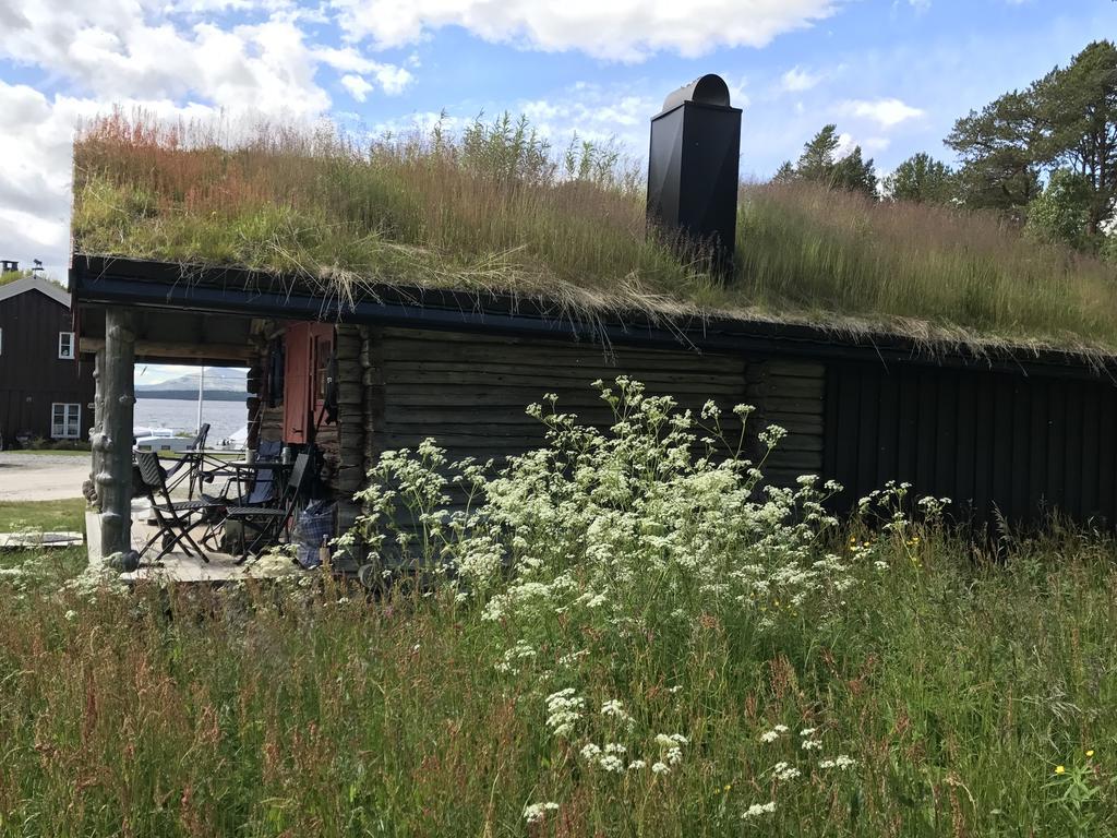 Batsto Camping Elga Exteriér fotografie