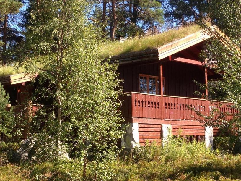 Batsto Camping Elga Exteriér fotografie