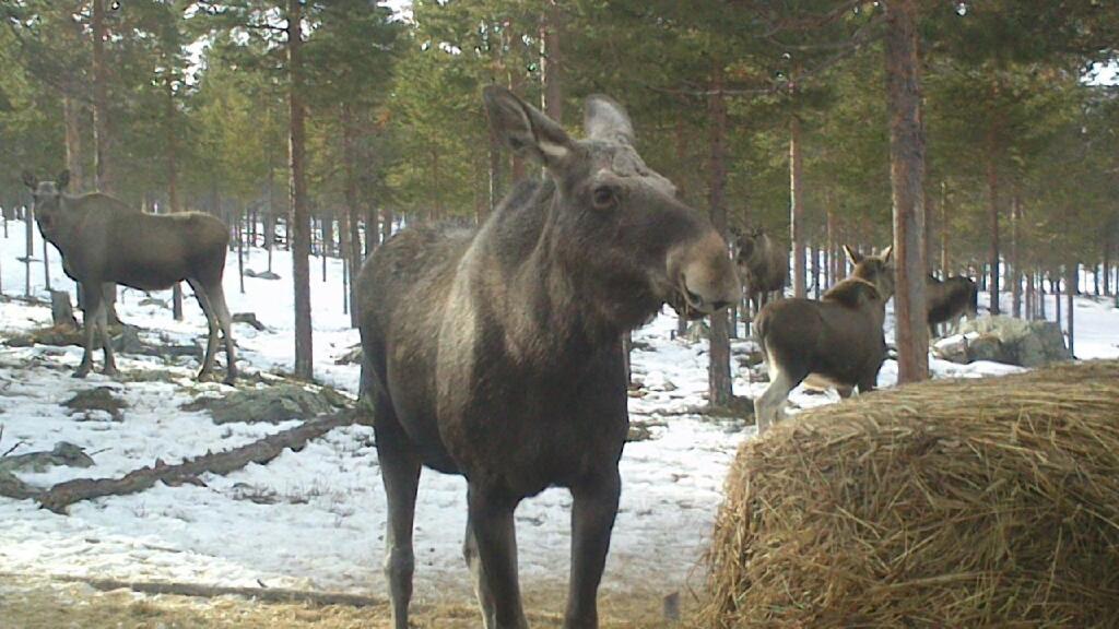 Batsto Camping Elga Exteriér fotografie